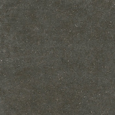 Керамогранит Casa Dolce Casa 785581 Rinascenza Arena Platino Matte 6mm 120x120