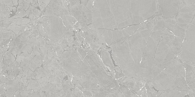 Керамогранит Azuvi Neeko Grey 60x120