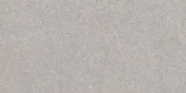 Керамогранит Peronda 35568 Ghent Grey/50X100X2/A/R 50x100