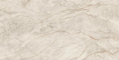 Керамогранит Atlas Concorde Italy AXJW Marvel Diva White Everest Lapp 120x240
