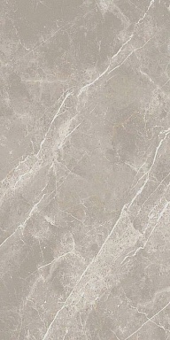 Керамогранит Cerim 766526 Elemental Grey Dolomia Nat Ret 60x120