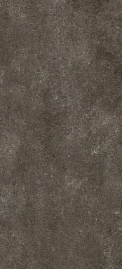 Керамогранит Casa Dolce Casa 768610 Sensi Brown Fossil Nat Ret 6mm 120x280