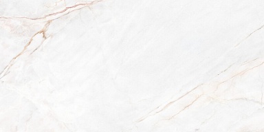 Керамогранит Peronda 39492 Dahlia White NT/60X120X0,9/C/R 60х120