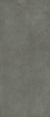Керамогранит Italon 600180000060 Avantgarde Black 120x278