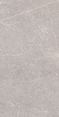 Керамогранит Arcadia Ceramica RG6001-A Equistone Gris Rotto Glossy Ink 60x120