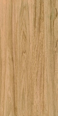 Керамогранит Bonaparte Greenwood Great Matt 60x120