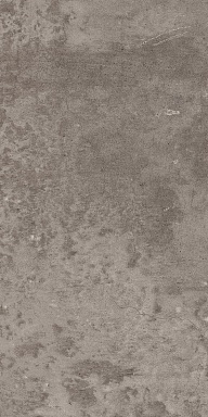 Керамогранит Estima EE03 Seed Grey Неполированный 30,6x60,9x8
