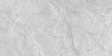 Керамогранит Royce R_NR2008 Silver Cascade Matt 60x120
