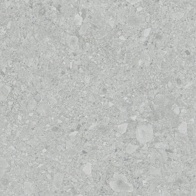 Керамогранит LB-Ceramics 6461-0425 Иней Tech Серый 60х60