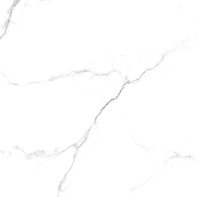 Керамогранит Arcadia Ceramica RT6015-A Statuario Fine Matt Rustic 60x60