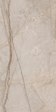 Керамогранит Italon 610010002835 Stellaris Elegant Silver Nat Ret 60x120