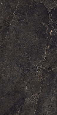 Керамогранит Ava Ceramica 199024 Noble Stone Dark 3D Satin Ret 60х120