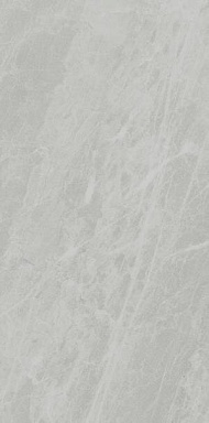 Керамогранит Ariostea PL612498 Gris De Savoie Lucidato 60x120
