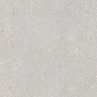 Керамогранит Dado Ceramica 005847 Shellstone Bianco 120x120