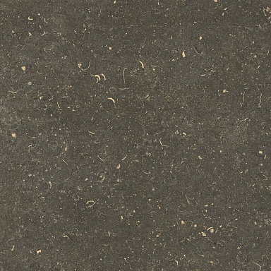 Керамогранит Casa Dolce Casa 785499 Rinascenza Arena Platino Grip 60x60