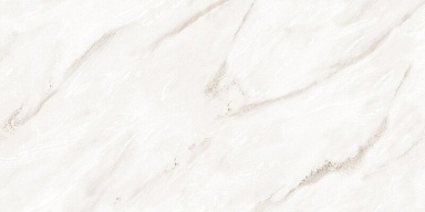 Керамогранит NT Ceramic NTT99525P Empire Pearl Endless 60x120