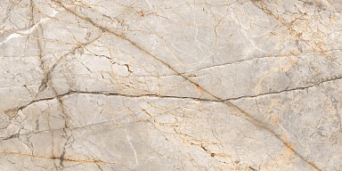 Керамогранит Neodom N80036 Silver Stream Carving 60x120