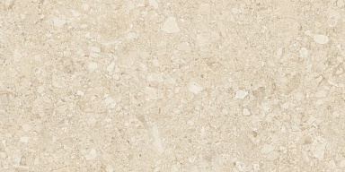 Керамогранит Duna Ceppo Di Clay GHR 60x120