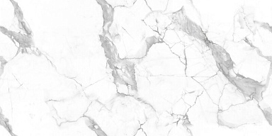Керамогранит NT Ceramic NTT99507P Callacata Endless 60x120