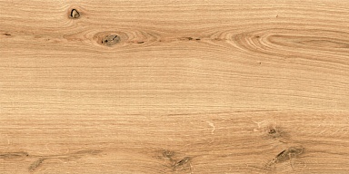 Керамогранит Cersanit C-WS4O112D Woodhouse коричневый 29,7х59,8