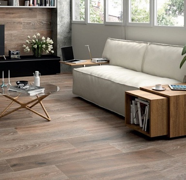 Керамогранит STN Ceramica G.Articwood MT Argent 20.5x61.5