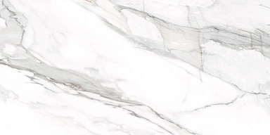 Керамогранит Delacora D12053M Omega Silver 1200x600x9.5