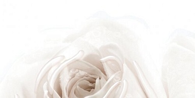 Декор BELLEZA 10-05-11-350-1 Нежность бежевый А 50х25