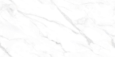 Керамогранит NT Ceramic NTT99506P Statuario Endless 60x120