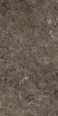 Керамогранит Casa Dolce Casa 768353 Sensi Brown Fossil Ret 40x80