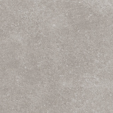 Керамогранит Porcelanosa 100324749 Verbier Silver 59.6x59.6
