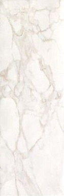 Плитка FAP Ceramiche fRFC Roma Calacatta 25x75