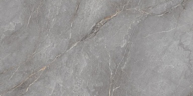 Керамогранит Neodom N20484 Orobico Grey Polished 60x120