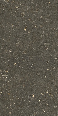 Керамогранит Casa Dolce Casa 785503 Rinascenza Arena Platino Grip 30x60