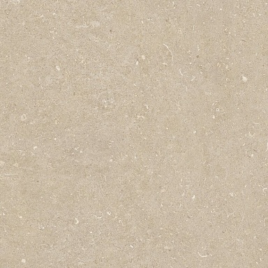 Керамогранит Casa Dolce Casa 785485 Rinascenza Arena Conchiglia Matte 60x60