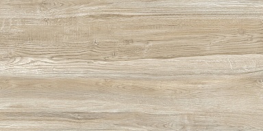 Плитка Alma Ceramica TWU09WDX404 Dakota Woodmix 24.9x50