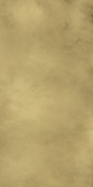 Керамогранит Italon 610015000645 Continuum Brass Gold Lap 80x160