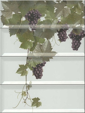 Панно Monopole Panno Tempranillo Blanco 40x30