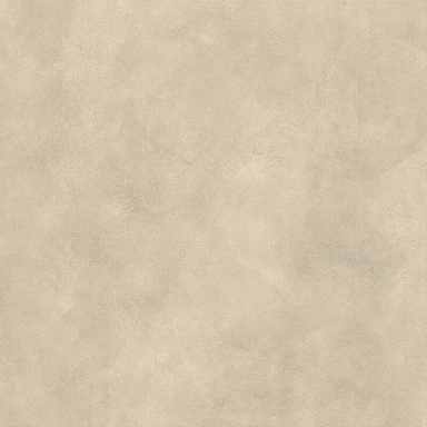 Керамогранит Atlas Concorde Italy AYUA Boost Expression Tan Matte 120x120