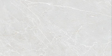 Керамогранит Duna Eternal Blanco Carving 60x120