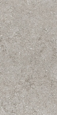 Керамогранит Casa Dolce Casa 768342 Sensi Grey Fossil Ret 40x80