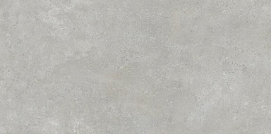 Керамогранит Neodom N110009 Urban Grey Matt 60x120
