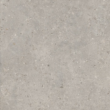 Керамогранит Kerama Marazzi SG653720R Риккарди серый светлый матовый обрезной 60x60