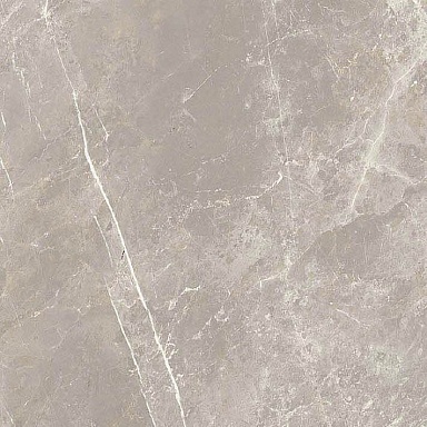 Керамогранит Cerim 766948 Elemental Grey Dolomia Nat Ret 60x60