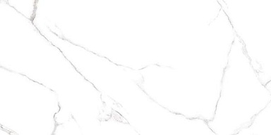 Керамогранит Alma Ceramica GFU60120CRR00R Carrara 60х120