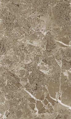 Плитка Gracia Ceramica Saloni brown 02 30*50