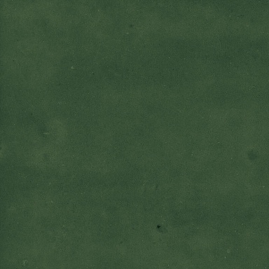 Керамогранит Harmony 43289 Samira Green 10x10