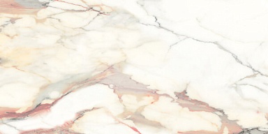 Керамогранит Magnifica VENECIA ORO PLUS R 60x120