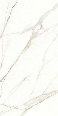 Керамогранит Naxos 117782 Emotion Levigato Rettificato 60x120