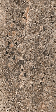Керамогранит Casa Dolce Casa 785603 Rinascenza Basamento Terra Matte 60x120