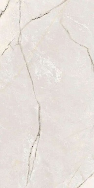 Керамогранит Ariana Ceramica PF60009343 Lilac White Lapp. 3d Ret 60x120